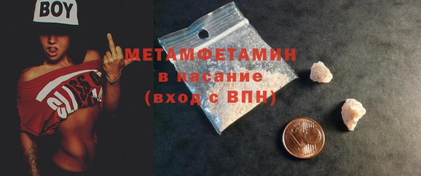 прущие грибы Горно-Алтайск