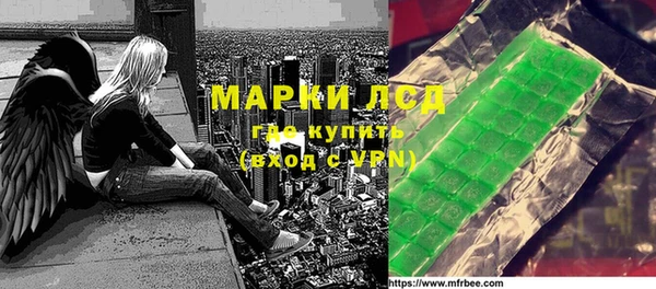 прущие грибы Горно-Алтайск