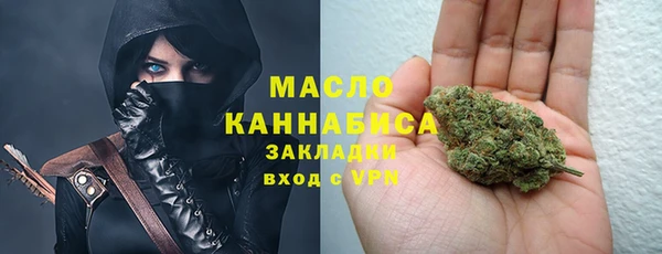 гидра Горняк