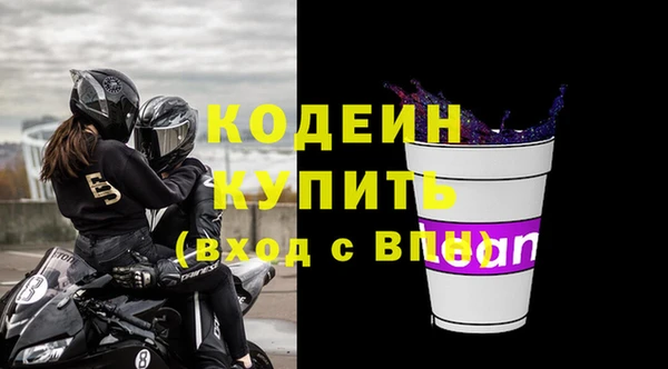 прущие грибы Горно-Алтайск