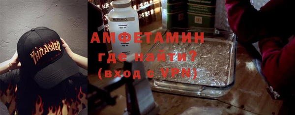 гидра Горняк