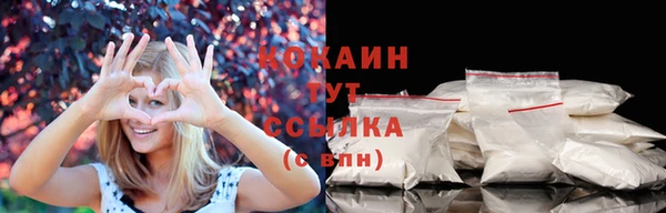 прущие грибы Горно-Алтайск