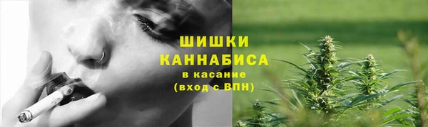 гидра Горняк