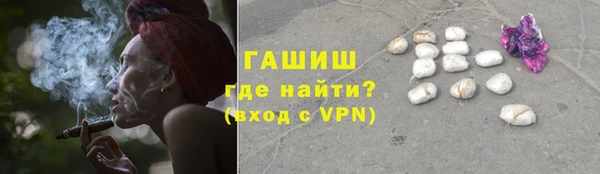 гидра Горняк