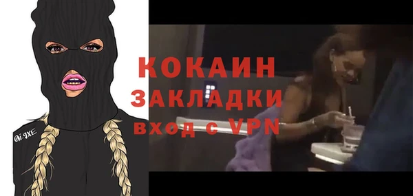 прущие грибы Горно-Алтайск