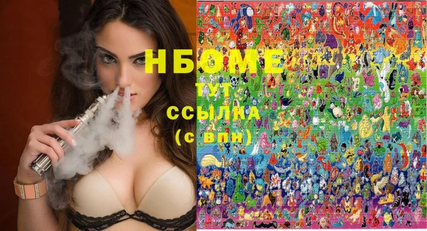 гидра Горняк