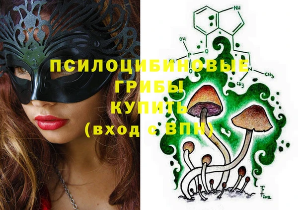 гидра Горняк