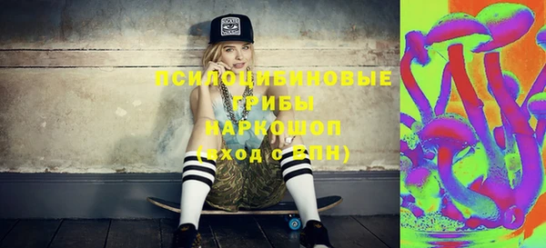 прущие грибы Горно-Алтайск