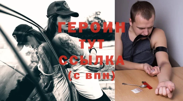 гидра Горняк