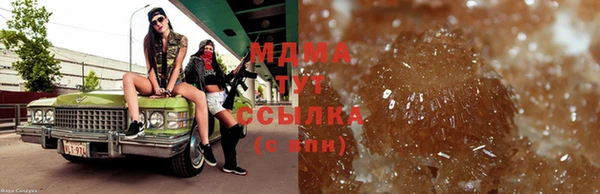 прущие грибы Горно-Алтайск