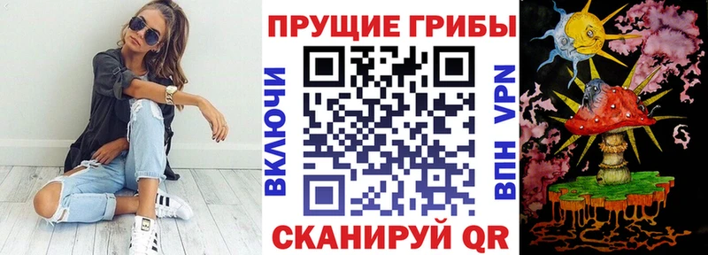 Псилоцибиновые грибы прущие грибы  продажа наркотиков  Домодедово 